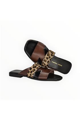  SAINT TROPEZ | Q02-TESTA DI MORO